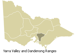Yarra Valley region of Victoria.